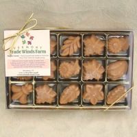 Silicone Maple Candy Mold, 2-Piece Set (Includes Recipe Card) - Smoky Lake  Maple Products, LLC