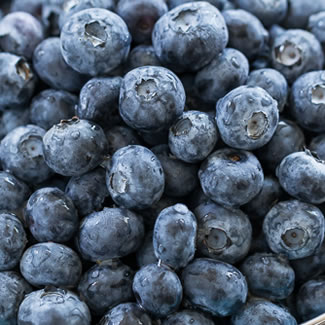 Maple Blueberry Cobbler