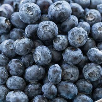 Maple Blueberry Cobbler