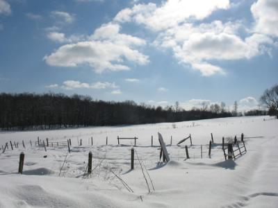 Get Outdoors & Explore the Farm