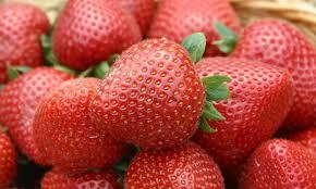 Maple Marinated Strawberry Sundae Sauce