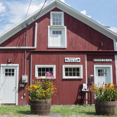 Trade Winds Farm Moves Back To Its Roots